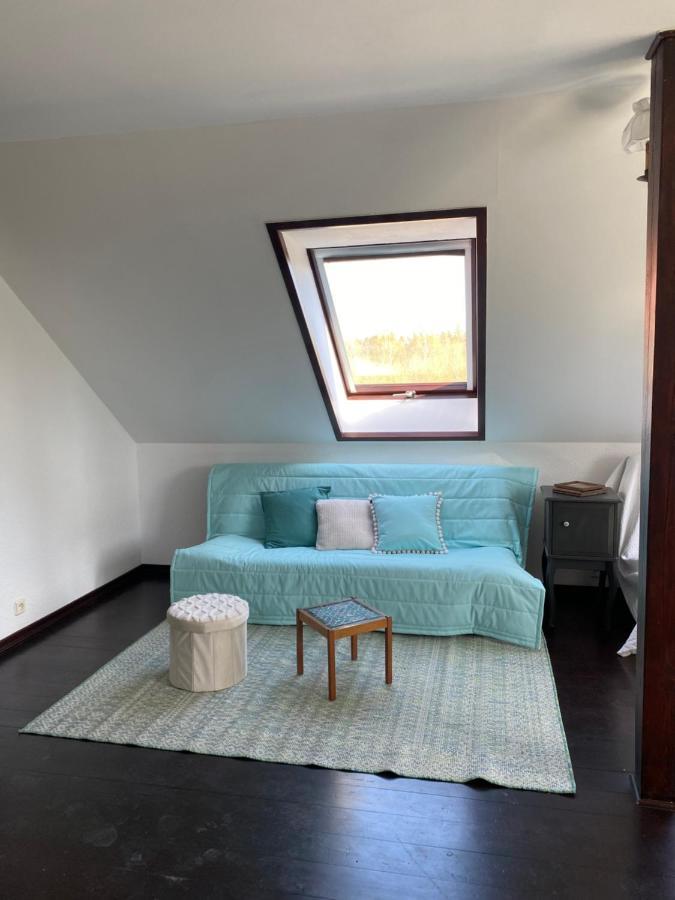 Vila Siedlisko Maria Jablonowo Exteriér fotografie