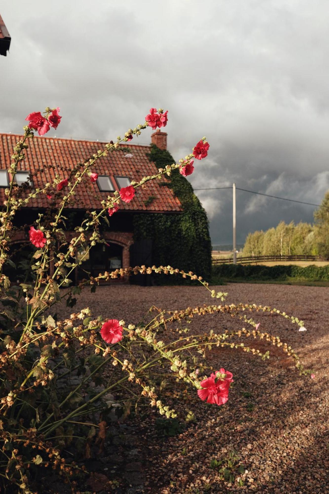 Vila Siedlisko Maria Jablonowo Exteriér fotografie